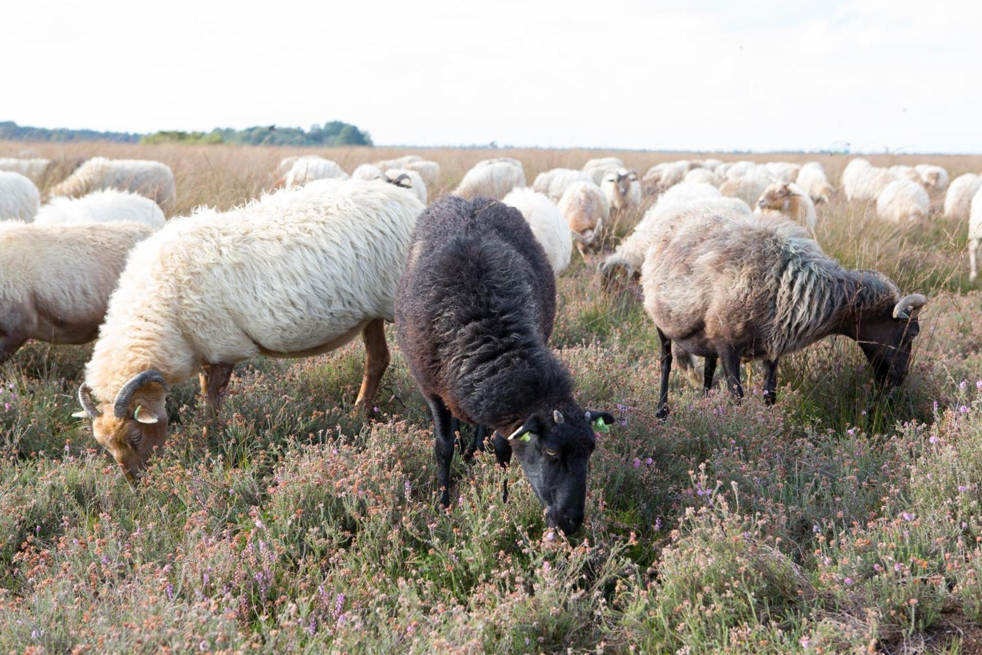 Balinge The Barnyard Bed & Breakfast エクステリア 写真